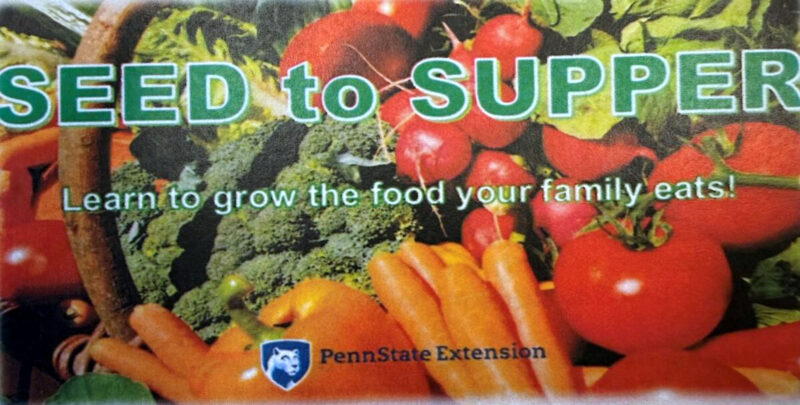 Penn State Extension Master Gardeners to host beginner’s vegetable gardening course